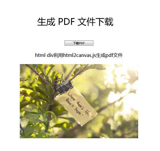 網(wǎng)頁文本pdf生成下載代碼(圖1)