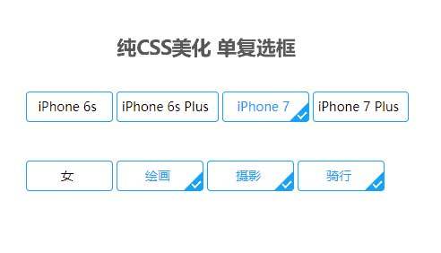 純css3單選框/復選框美化樣式代碼(圖1)