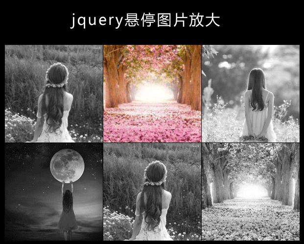 jQuery鼠標懸停圖片變色放大顯示效果(圖1)